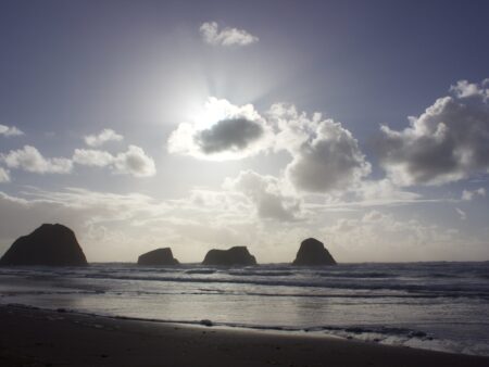 Sunburst