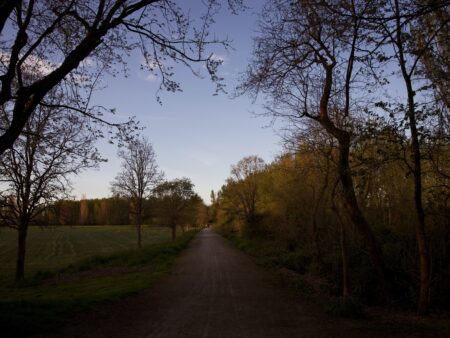 Sunset Road