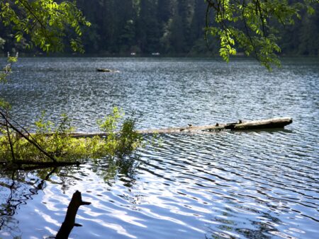 Ripples
