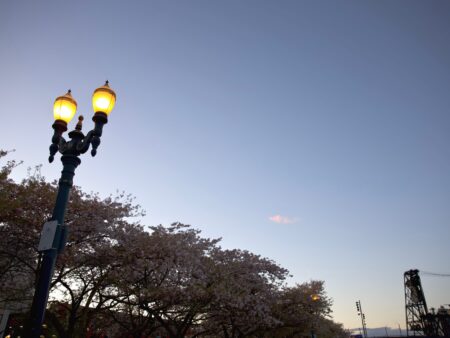 Streetlights