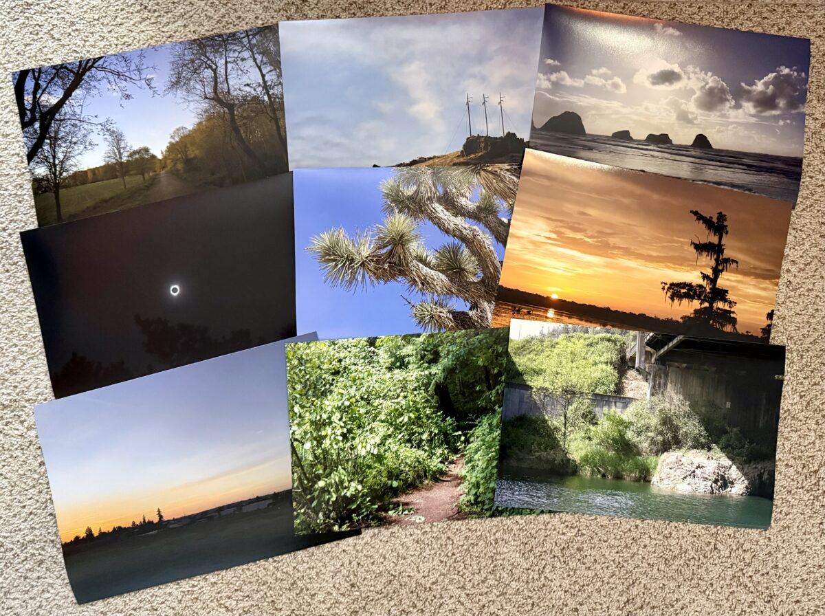 Photograph of several photo prints, arranged in a loose grid.